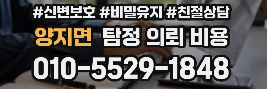 양지면 탐정 의뢰 비용
