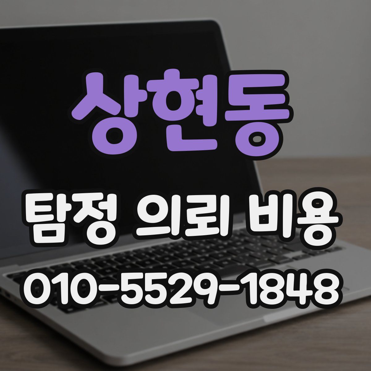 상현동 탐정 의뢰 비용