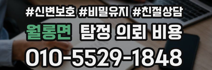 월롱면 탐정 의뢰 비용