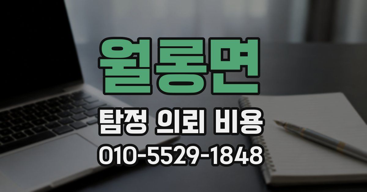 월롱면 탐정 의뢰 비용