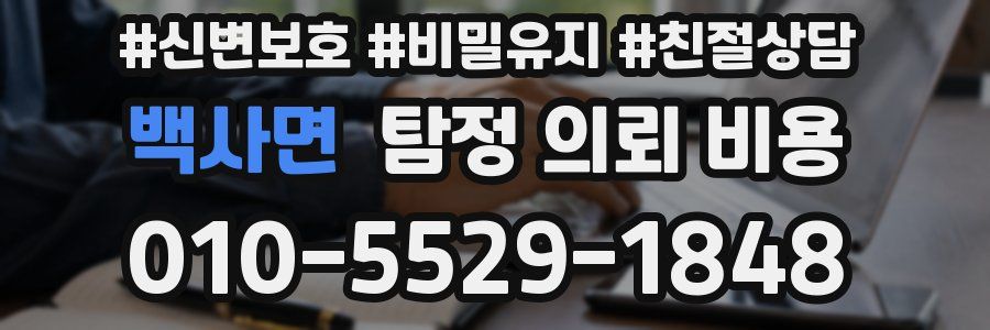 백사면 탐정 의뢰 비용