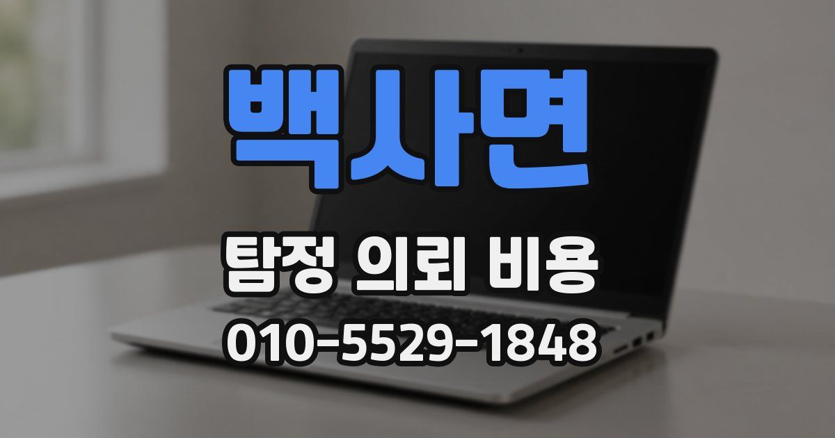 백사면 탐정 의뢰 비용