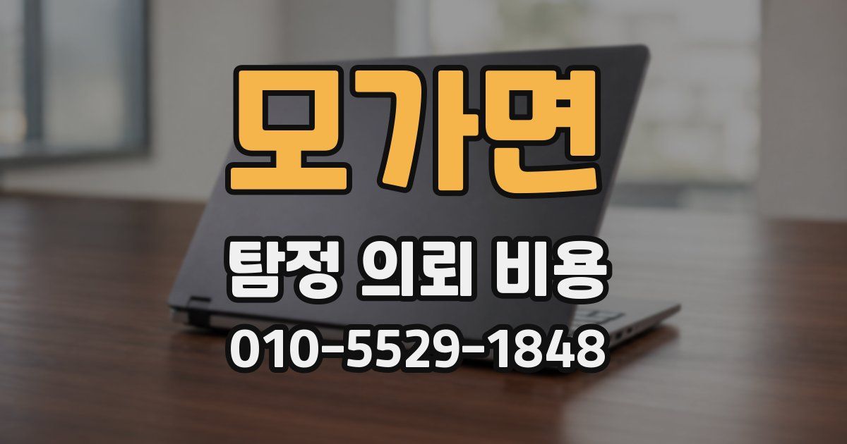 모가면 탐정 의뢰 비용
