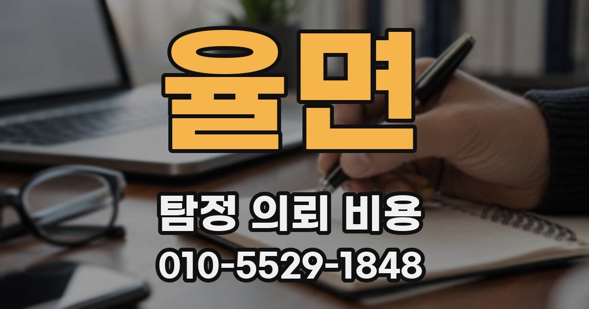 율면 탐정 의뢰 비용