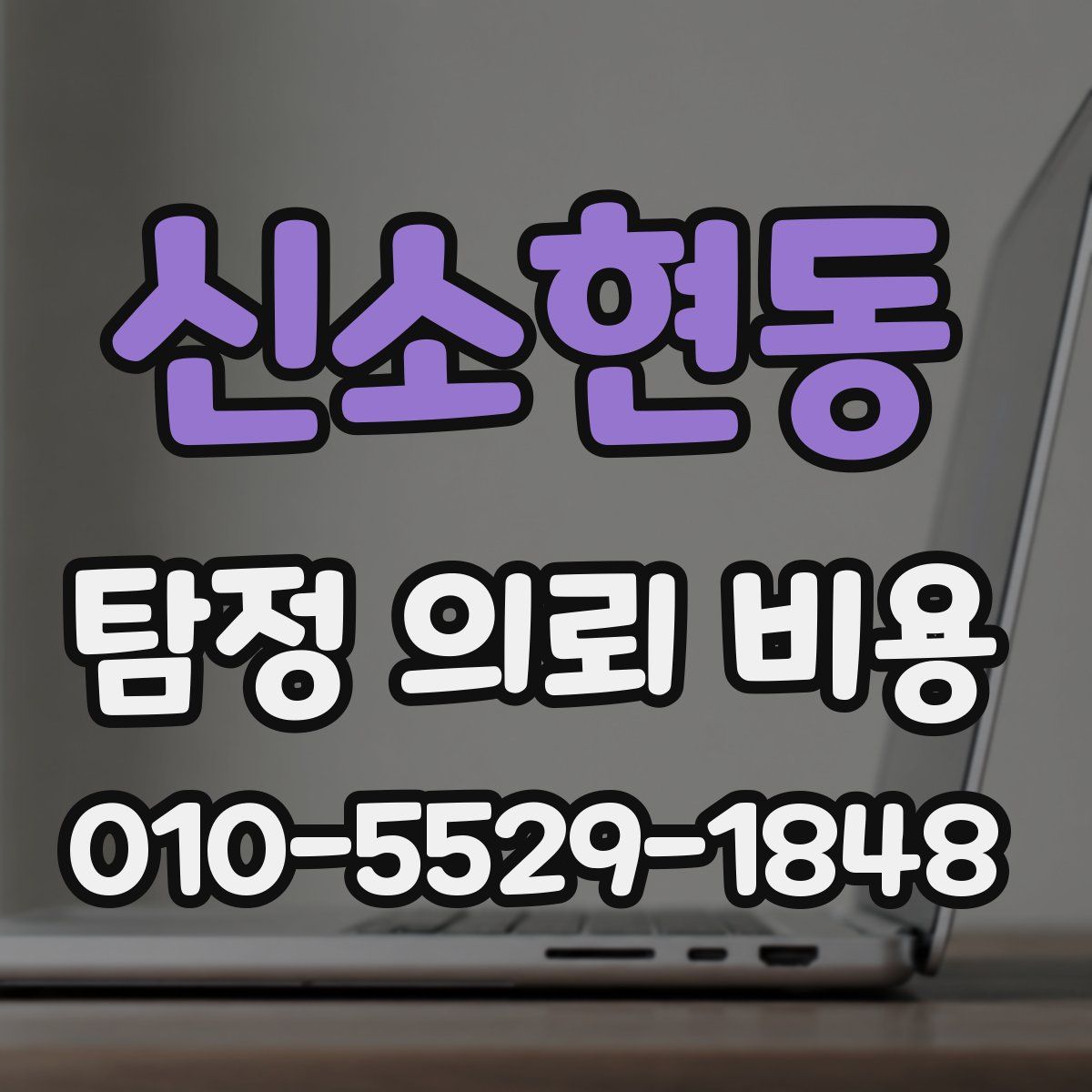 신소현동 탐정 의뢰 비용