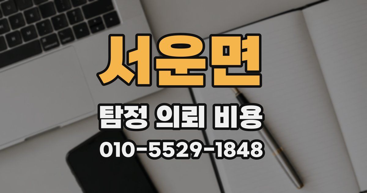 서운면 탐정 의뢰 비용