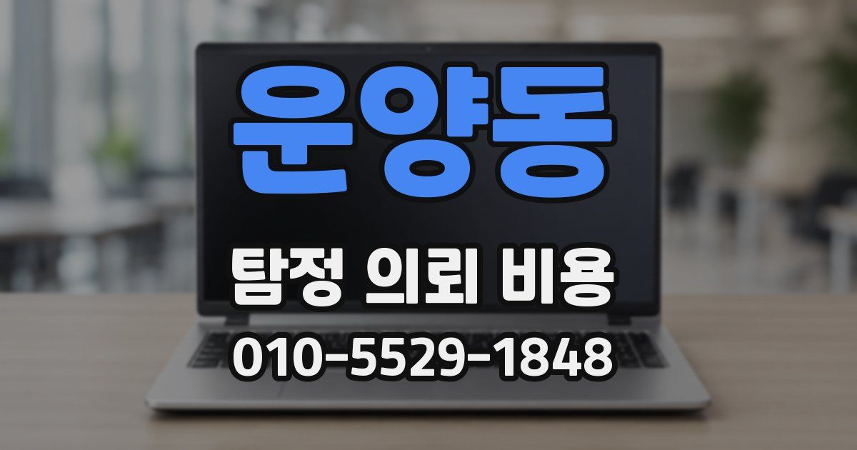 운양동 탐정 의뢰 비용