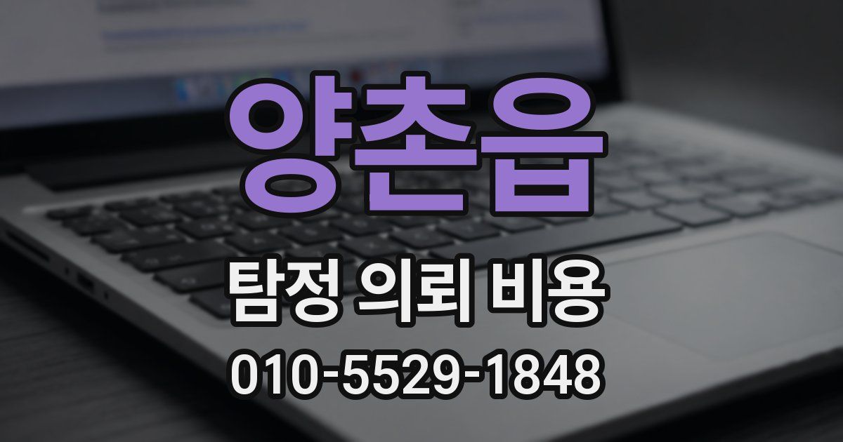 양촌읍 탐정 의뢰 비용