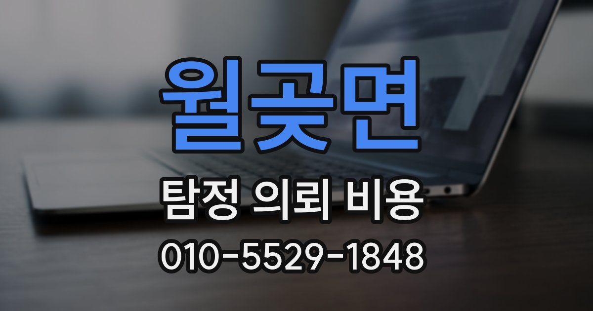 월곶면 탐정 의뢰 비용