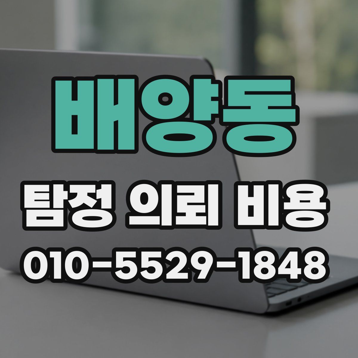 배양동 탐정 의뢰 비용