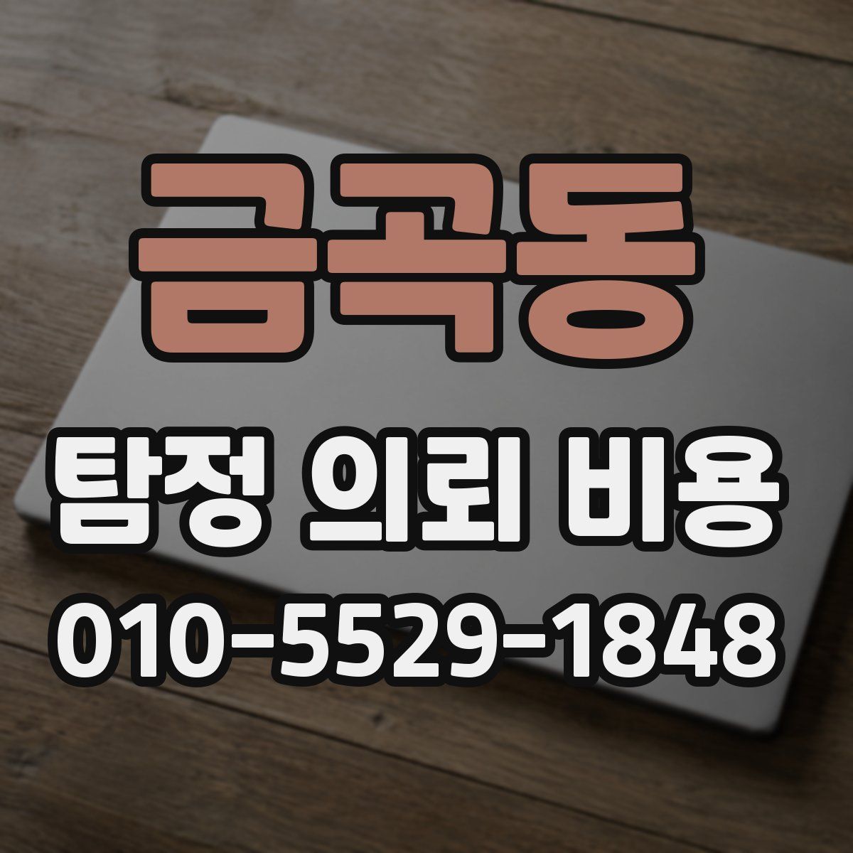 금곡동 탐정 의뢰 비용