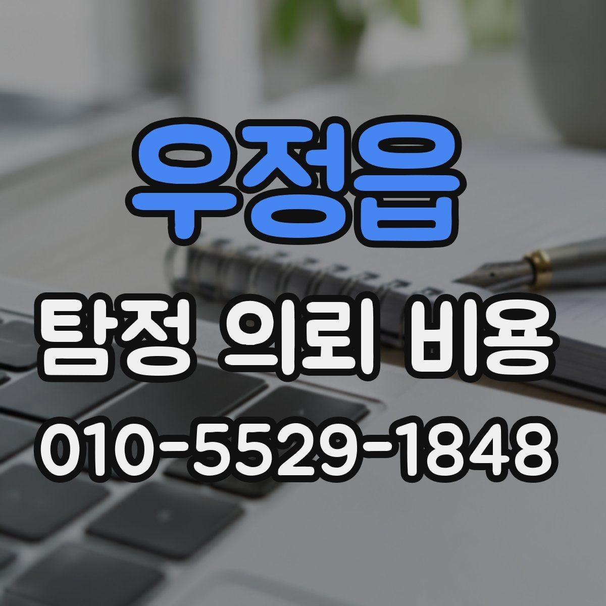 우정읍 탐정 의뢰 비용 산출에 자주 반영되는 항목