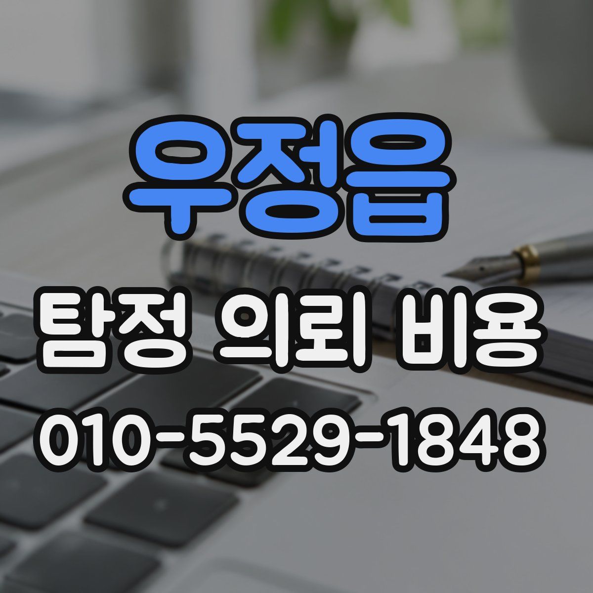 우정읍 탐정 의뢰 비용