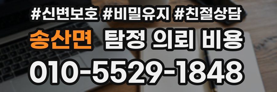 송산면 탐정 의뢰 비용