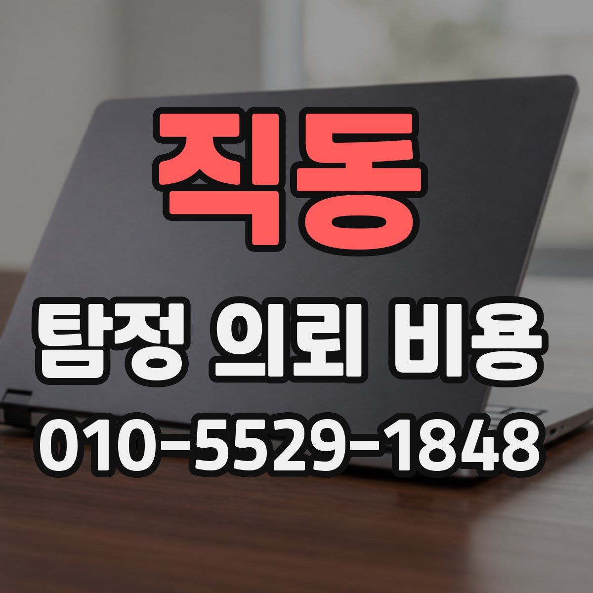 직동 탐정 의뢰 비용