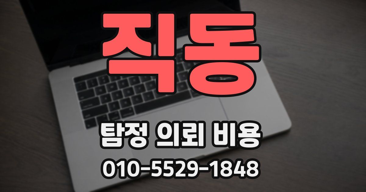 직동 탐정 의뢰 비용