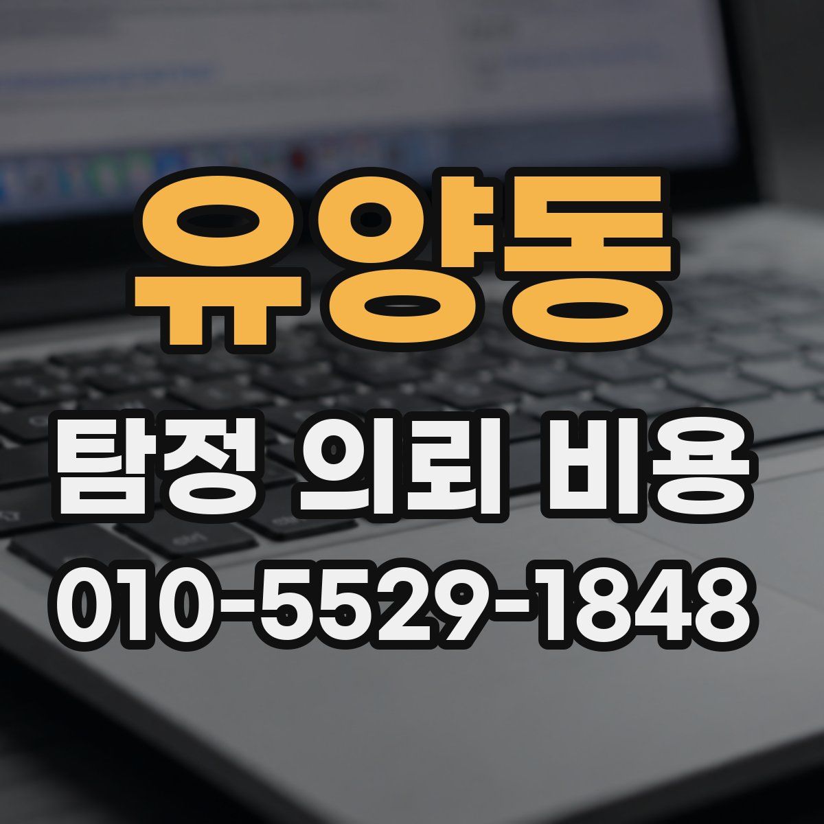 유양동 탐정 의뢰 비용