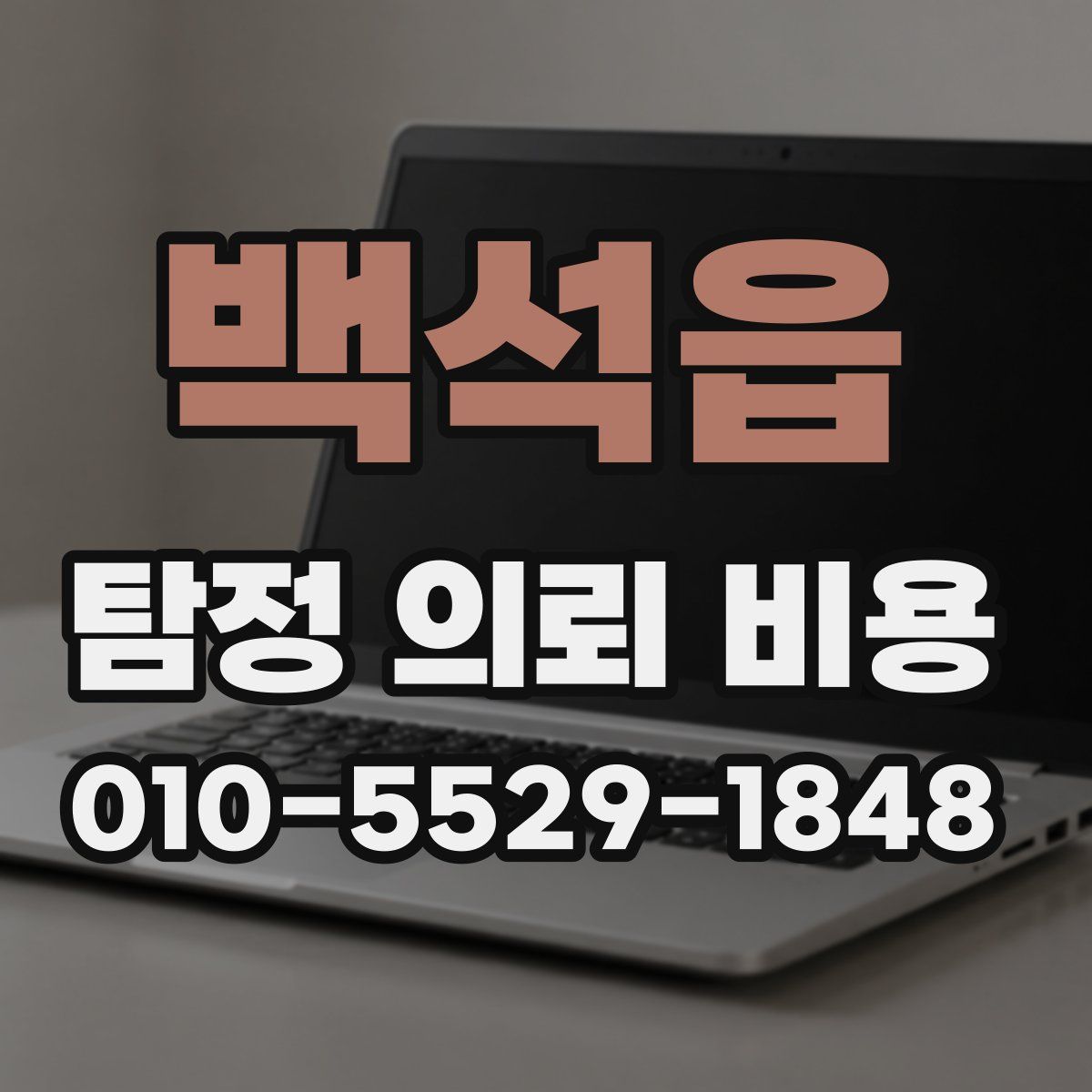 백석읍 탐정 의뢰 비용