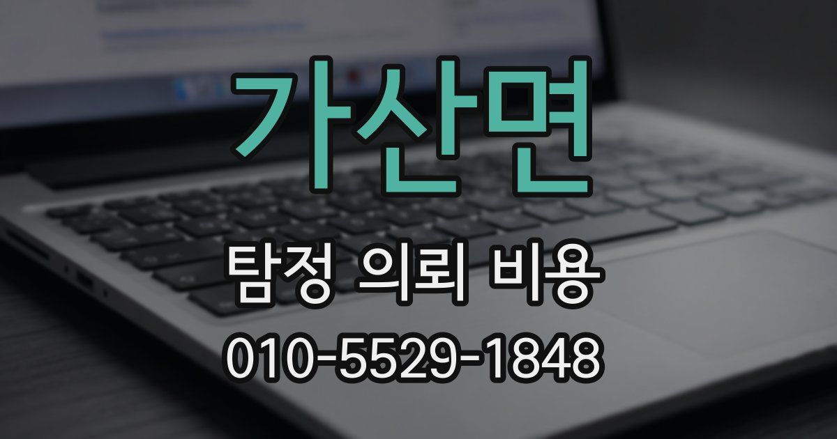 가산면 탐정 의뢰 비용