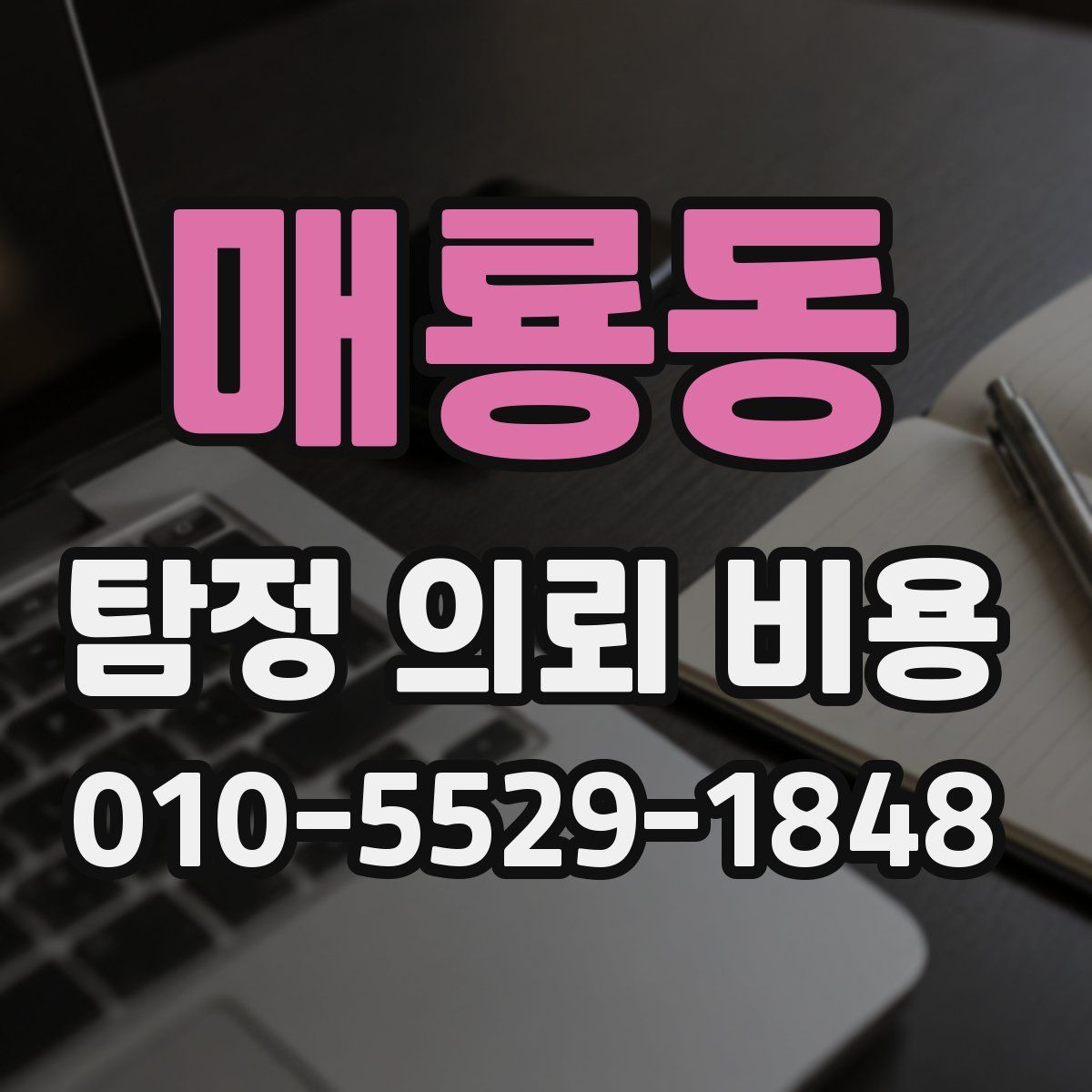 매룡동 탐정 의뢰 비용