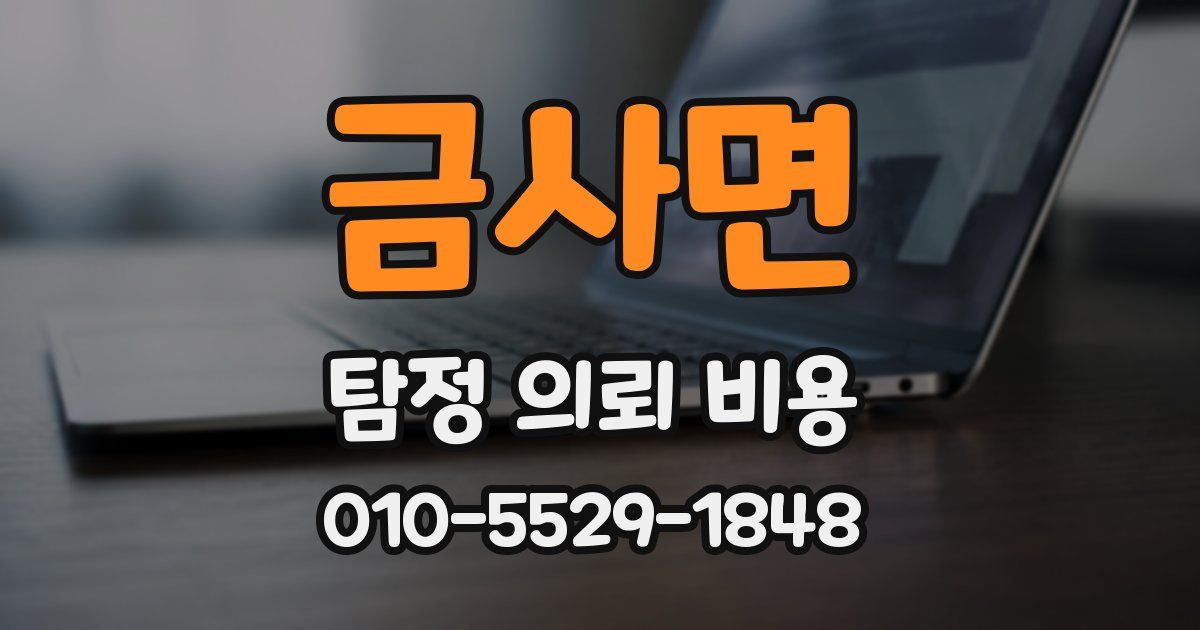 금사면 탐정 의뢰 비용