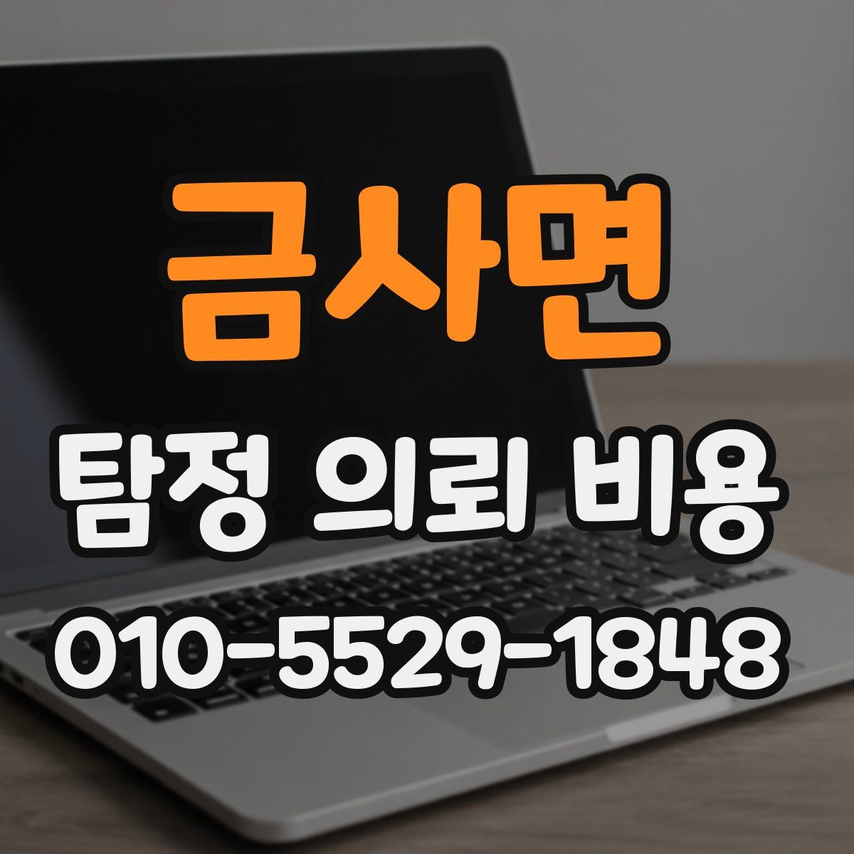 금사면 탐정 의뢰 비용