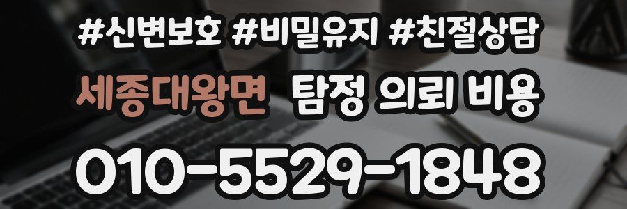 세종대왕면 탐정 의뢰 비용