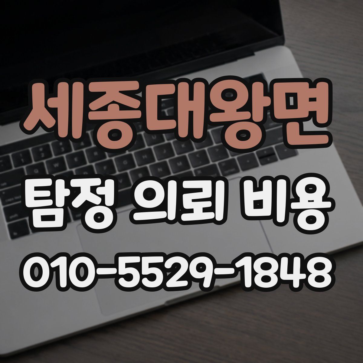 세종대왕면 탐정 의뢰 비용