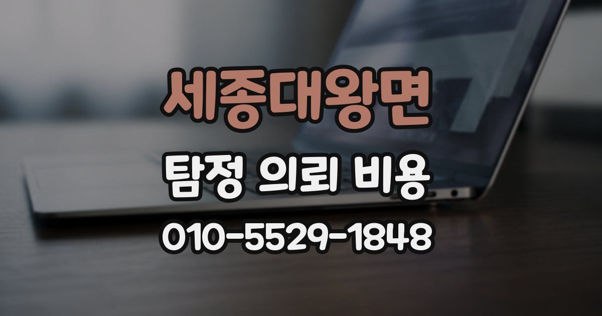 세종대왕면 탐정 의뢰 비용