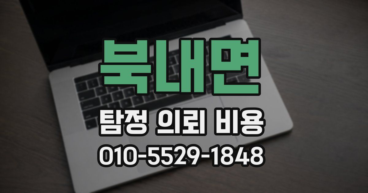 북내면 탐정 의뢰 비용