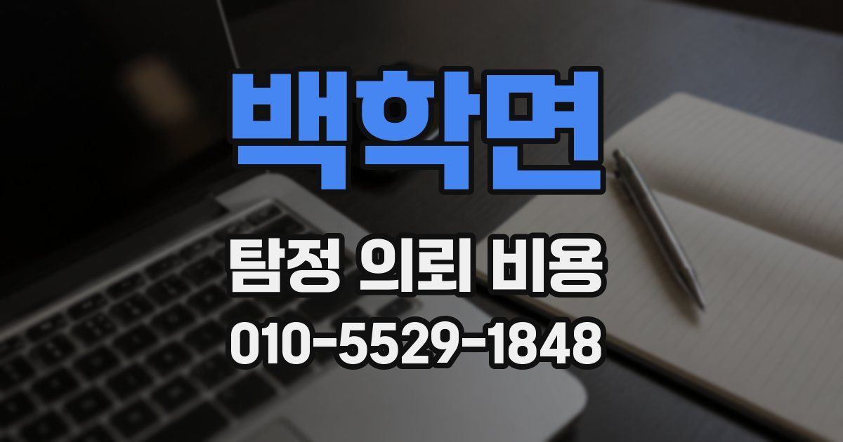 백학면 탐정 의뢰 비용