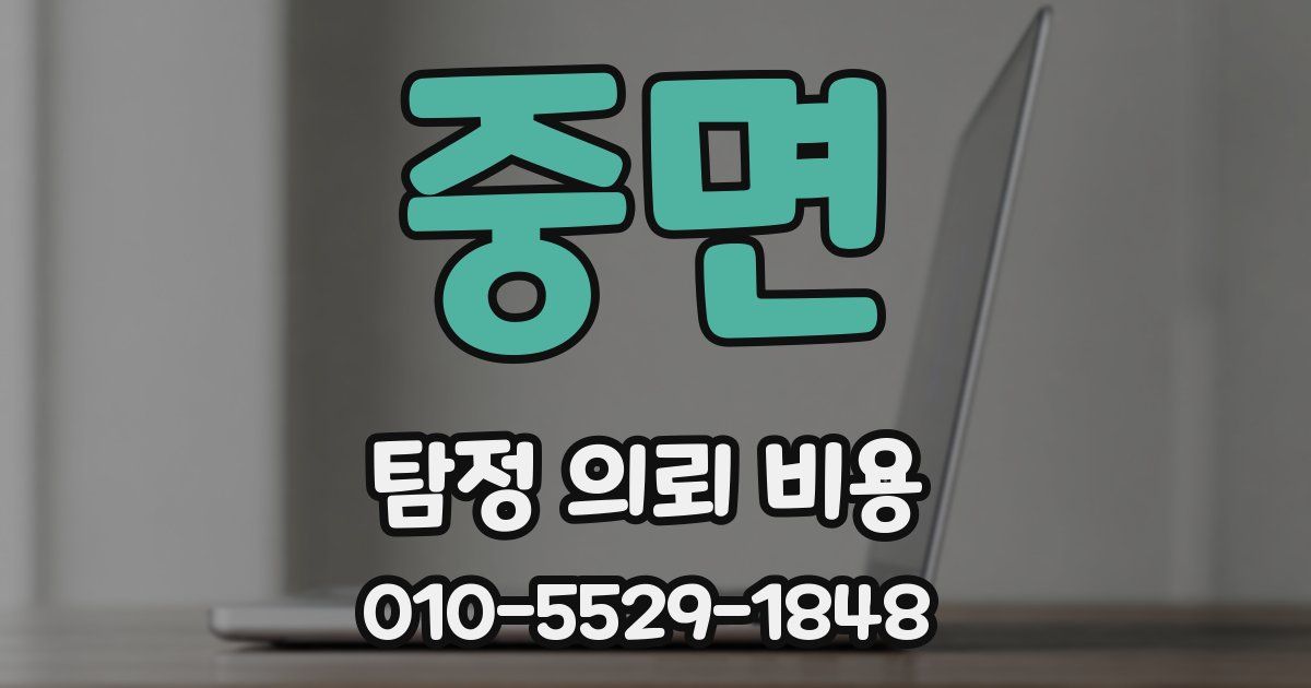 중면 탐정 의뢰 비용