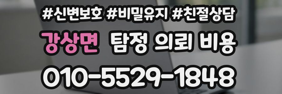 강상면 탐정 의뢰 비용