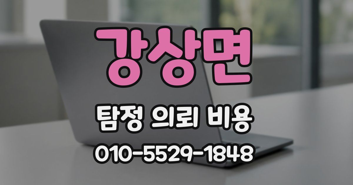 강상면 탐정 의뢰 비용