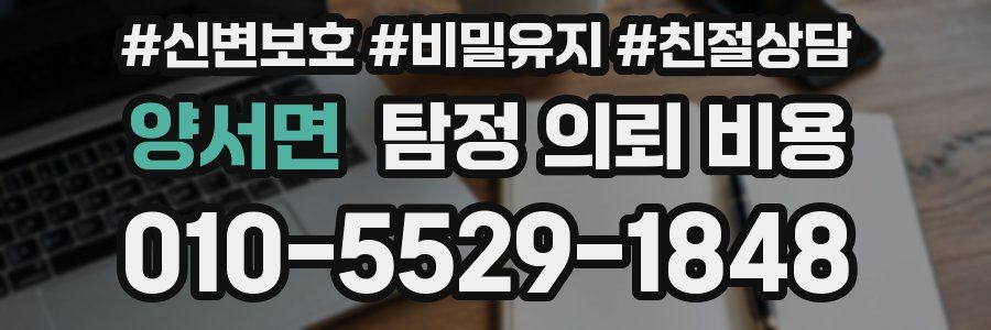 양서면 탐정 의뢰 비용