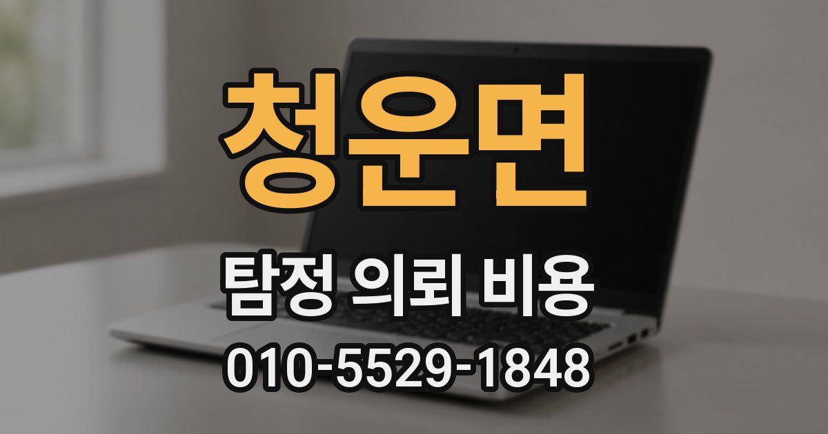 청운면 탐정 의뢰 비용