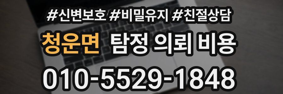 청운면 탐정 의뢰 비용