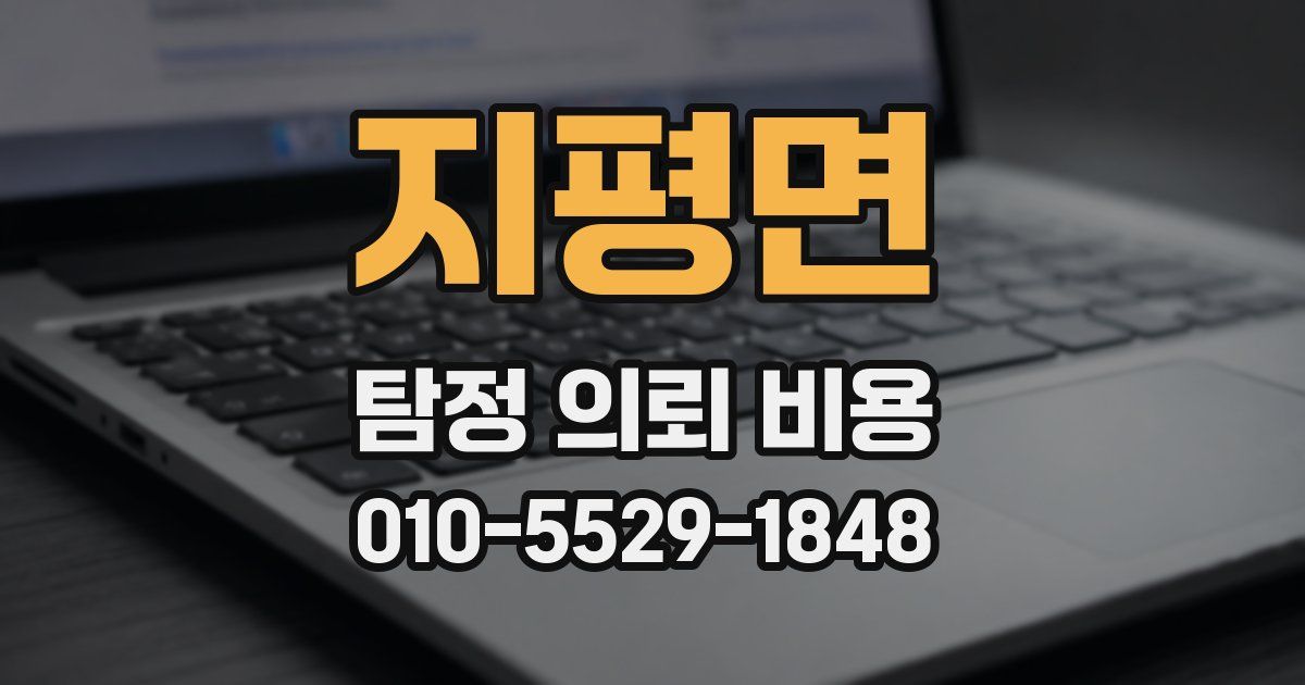지평면 탐정 의뢰 비용