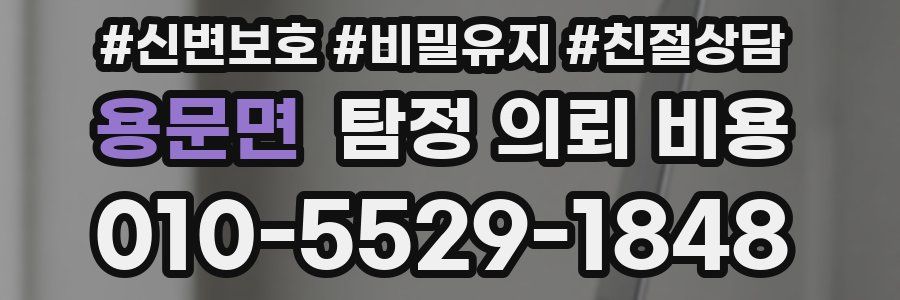 용문면 탐정 의뢰 비용