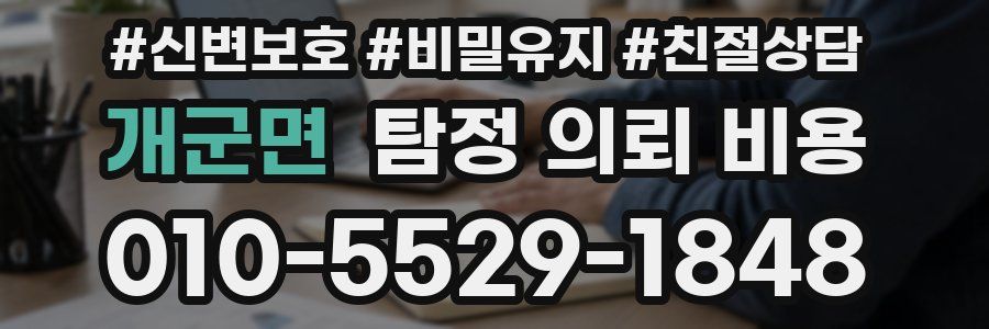 개군면 탐정 의뢰 비용