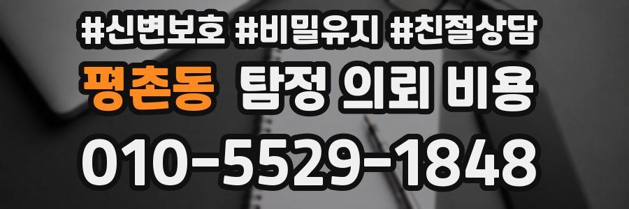 평촌동 탐정 의뢰 비용