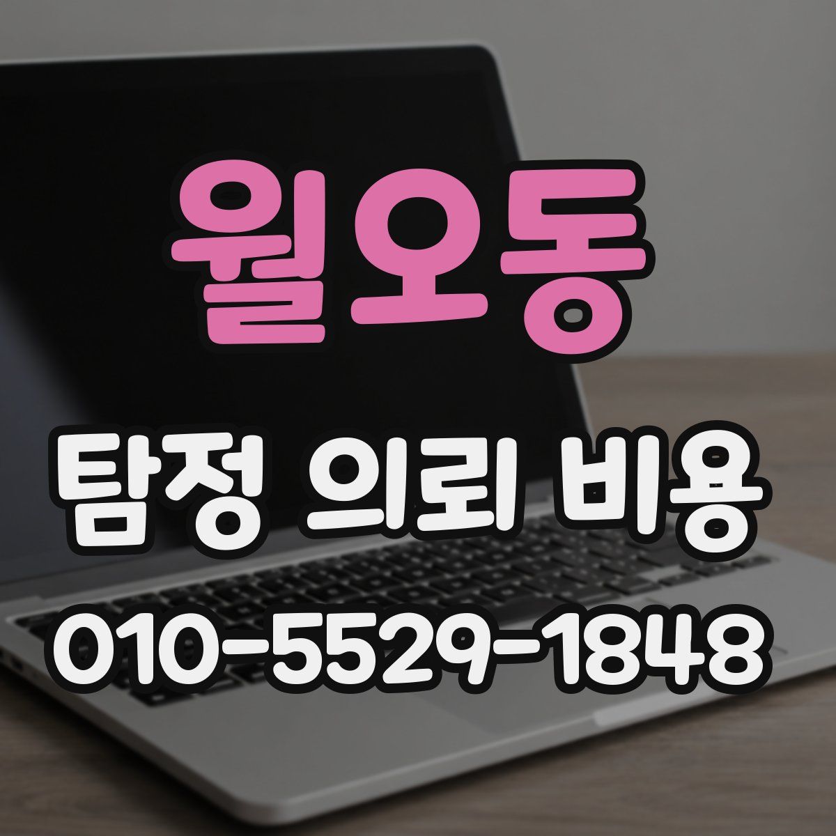 월오동 탐정 의뢰 비용