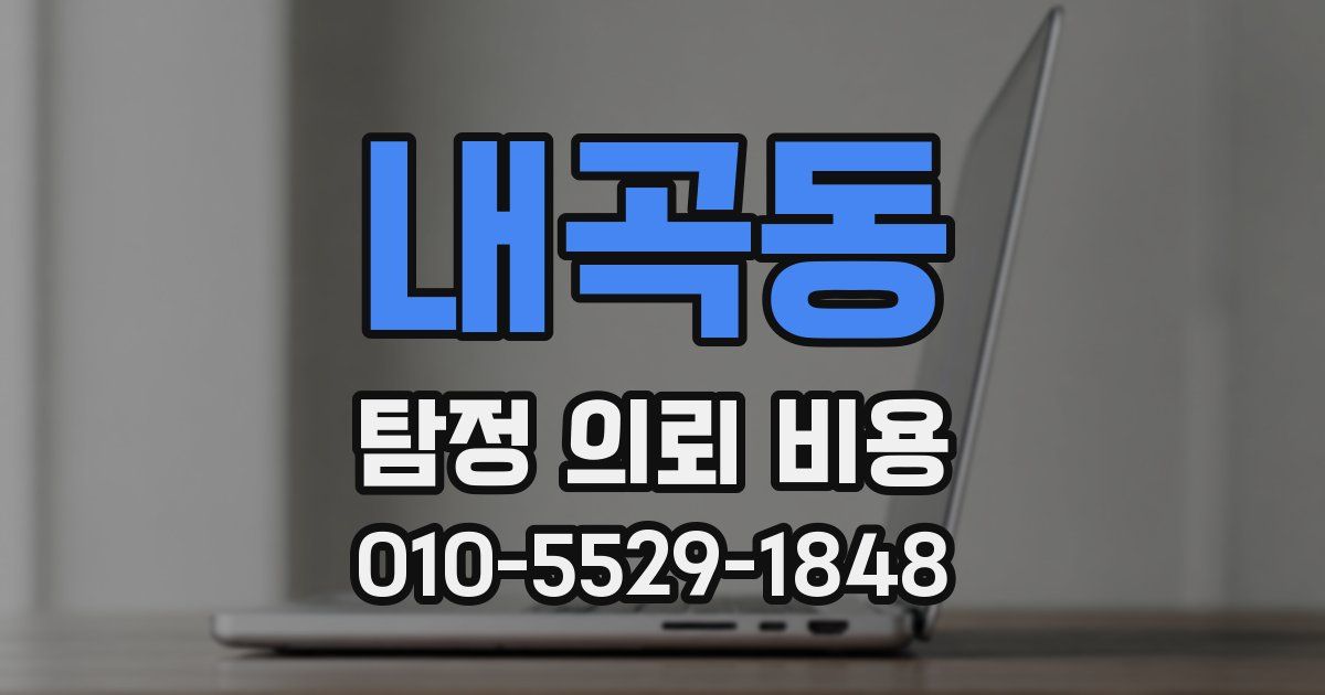내곡동 탐정 의뢰 비용
