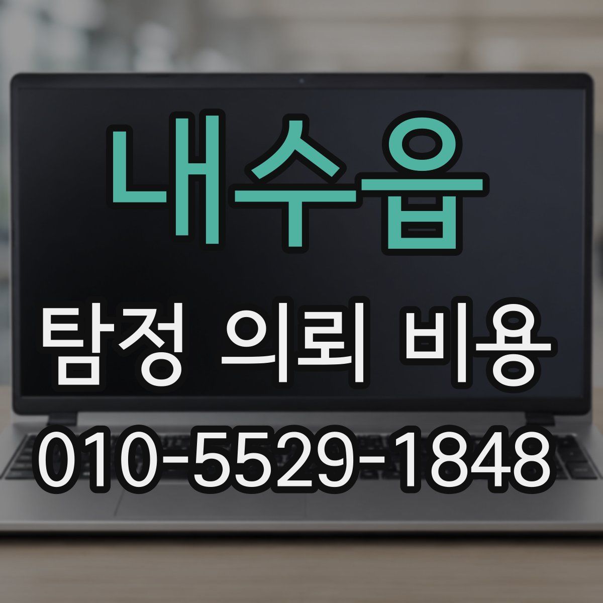 내수읍 탐정 의뢰 비용