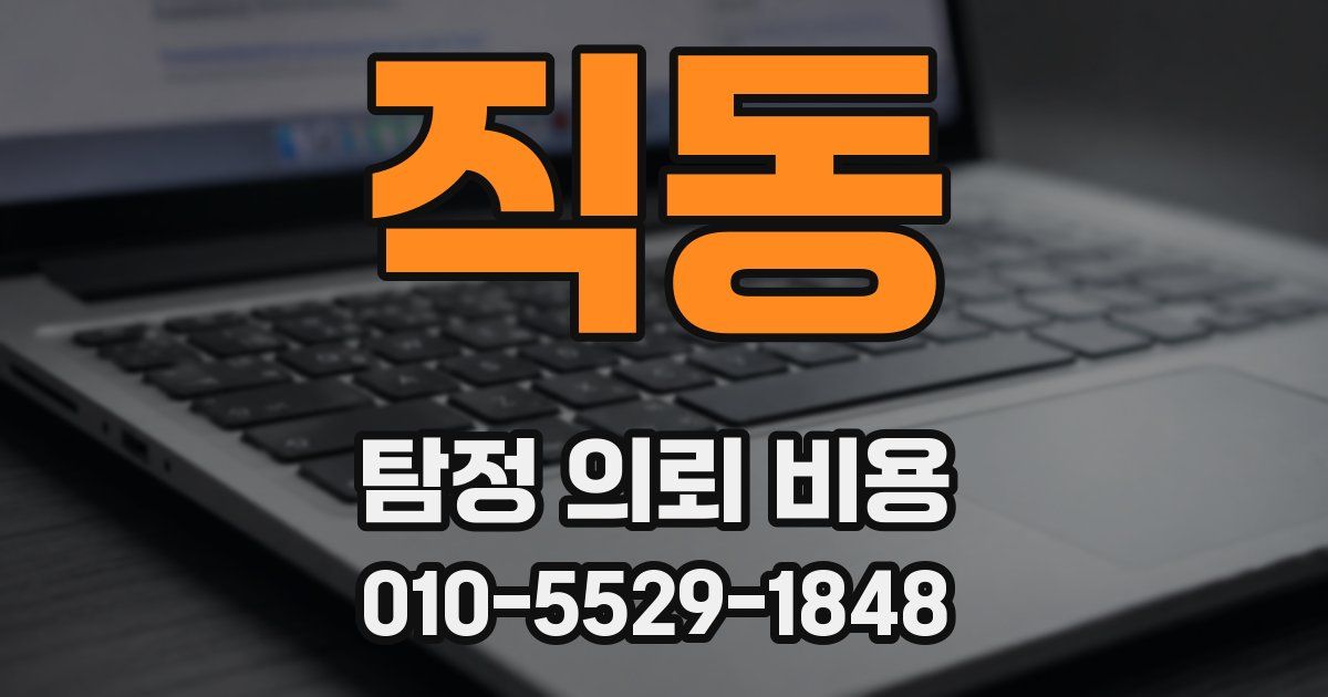 직동 탐정 의뢰 비용