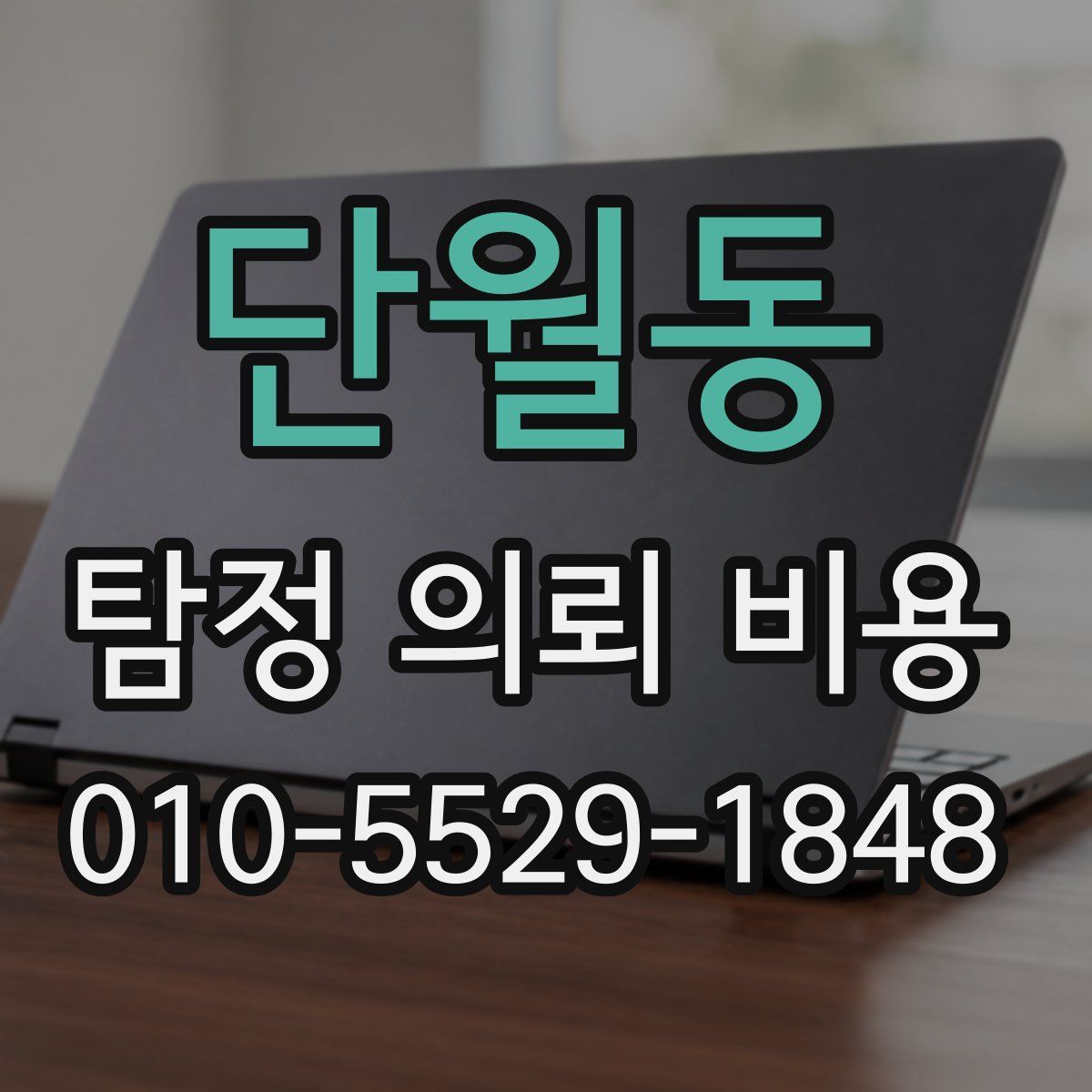 단월동 탐정 의뢰 비용