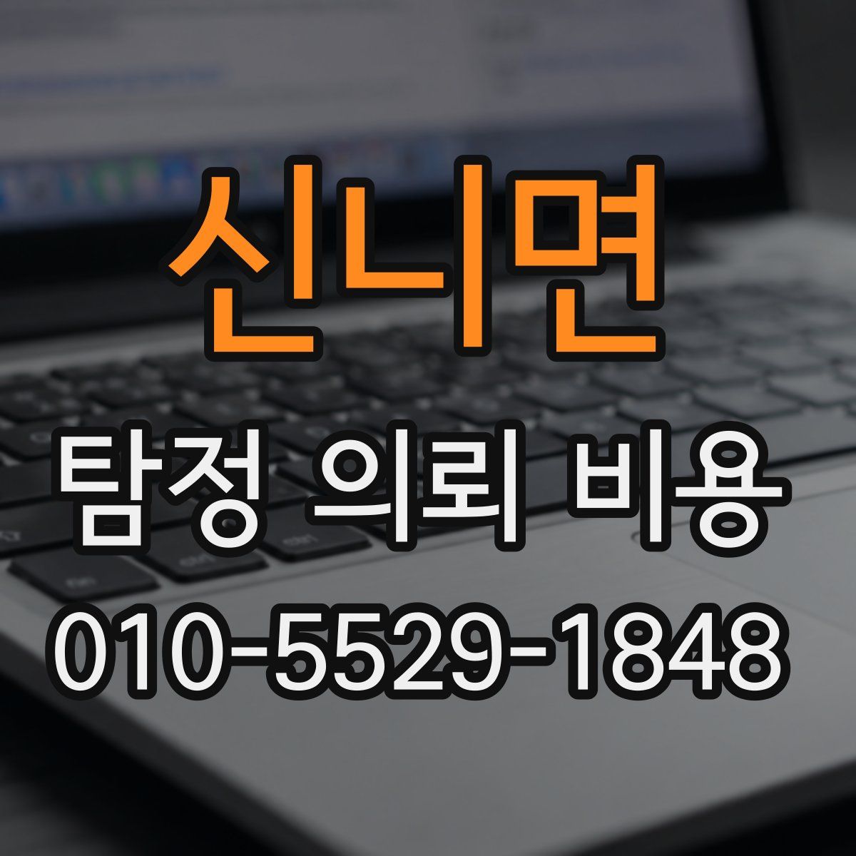 신니면 탐정 의뢰 비용