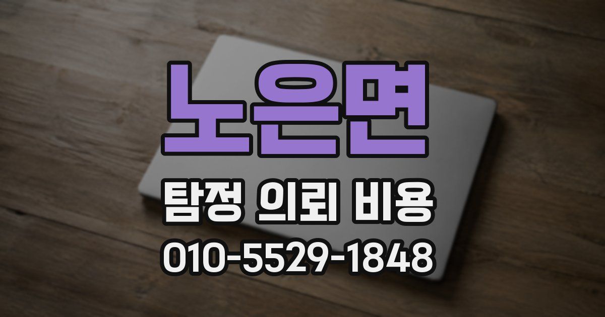 노은면 탐정 의뢰 비용