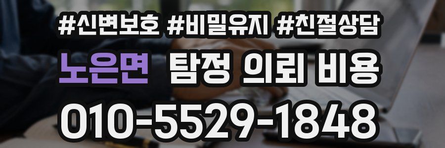 노은면 탐정 의뢰 비용