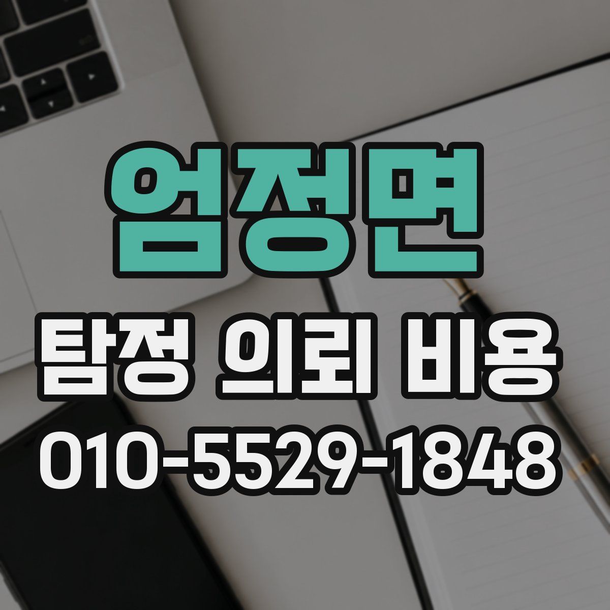 엄정면 탐정 의뢰 비용